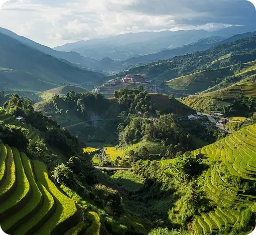 Vietnam Rice Terraces