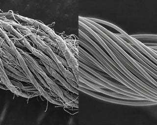 Electron microscope comparison of rough cotton fibers beside smooth eucalyptus lyocell filaments