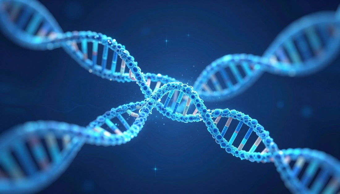 A scientific, abstract visualization of the connection between sleep and skin, showing DNA helices intertwined with calming, deep blue sleep waves and glowing skin cells.